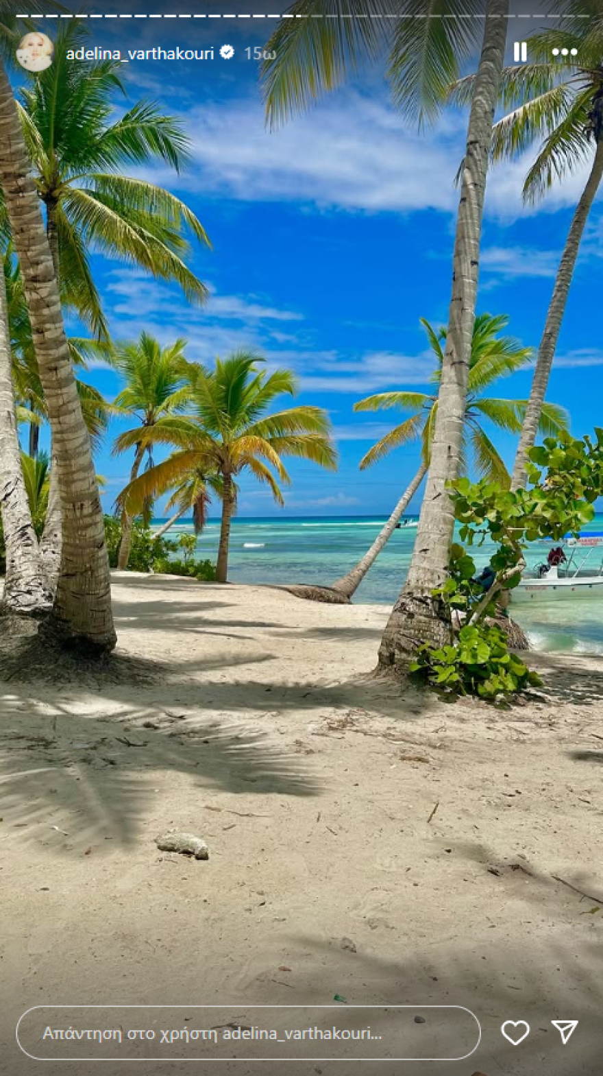 Η Αντελίνα Βαρθακούρη απολαμβάνει τις βουτιές της σε εξωτικό προορισμό