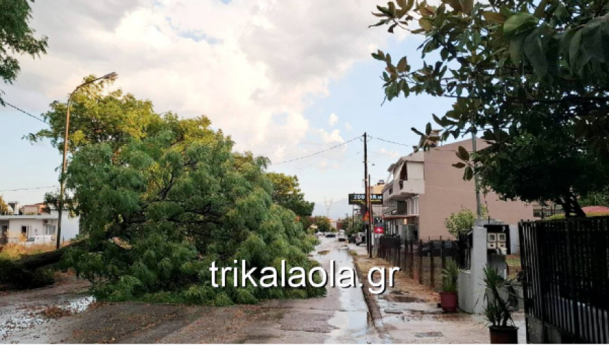 Κακοκαιρία: Ζημιές από το χθεσινό μπουρίνι σε Θεσσαλία και Μακεδονία, δείτε βίντεο και φωτογραφίες
