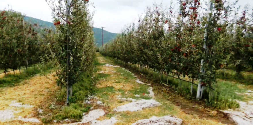 Κακοκαιρία: Ζημιές από το χθεσινό μπουρίνι σε Θεσσαλία και Μακεδονία, δείτε βίντεο και φωτογραφίες