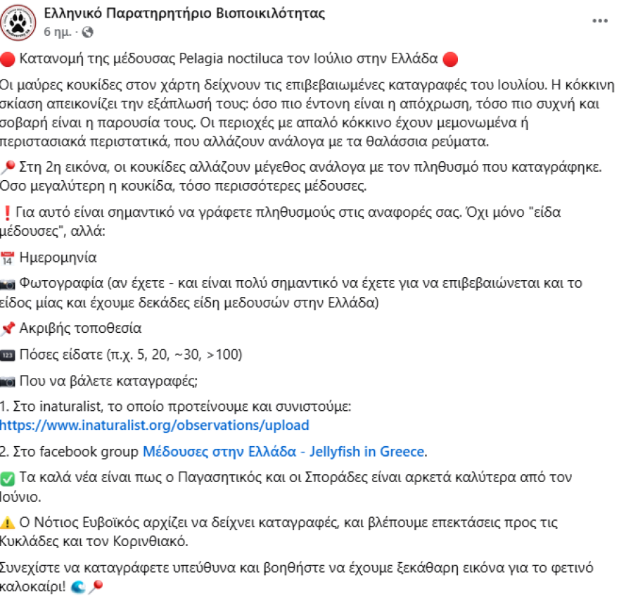 Οι μωβ μέδουσες επεκτείνονται προς Κυκλάδες και Κορινθιακό - Χάρτης δείχνει live σε ποιες παραλίες βρίσκονται