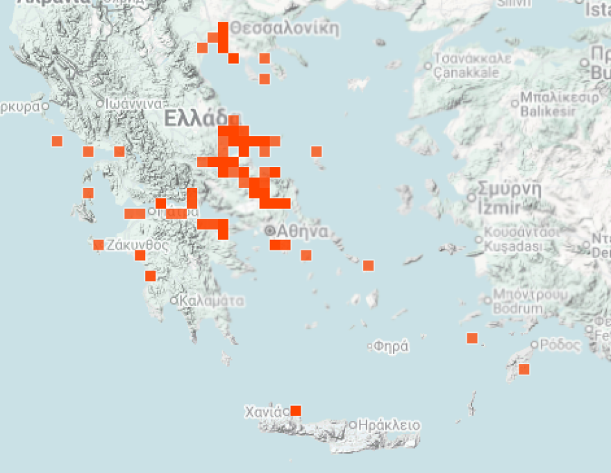 Οι μωβ μέδουσες επεκτείνονται προς Κυκλάδες και Κορινθιακό - Χάρτης δείχνει live σε ποιες παραλίες βρίσκονται