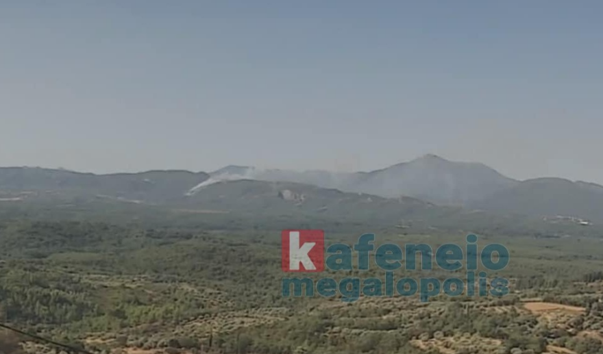 Φωτιά τώρα σε δασική έκταση στο Λεοντάρι Αρκαδίας, σηκώθηκαν 7 εναέρια μέσα - Δείτε βίντεο