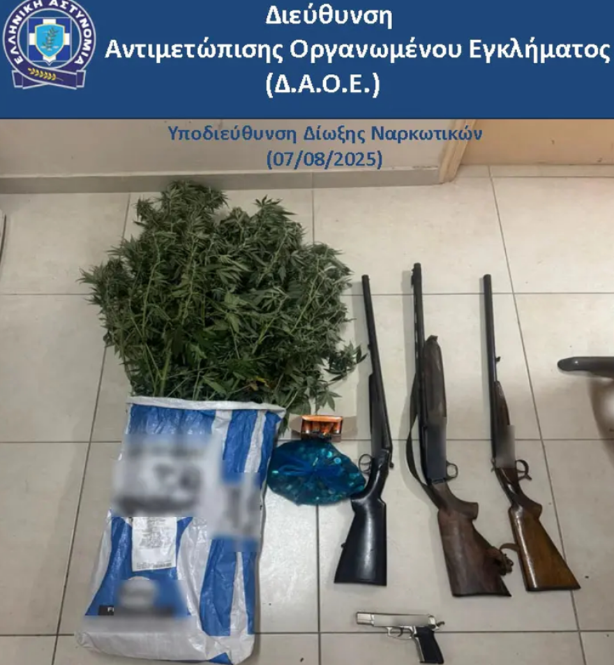 Καλλιέργεια ναρκωτικών και όπλα - Έφοδος της Δίωξης στη Ζάκυνθο, συνελήφθη 51χρονος