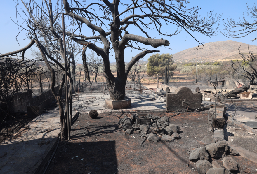 στιγμιοτυπο_οθονης_2025-08-09_120149