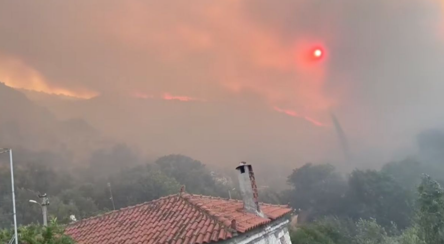 στιγμιοτυπο_οθονης_2025-08-10_150606