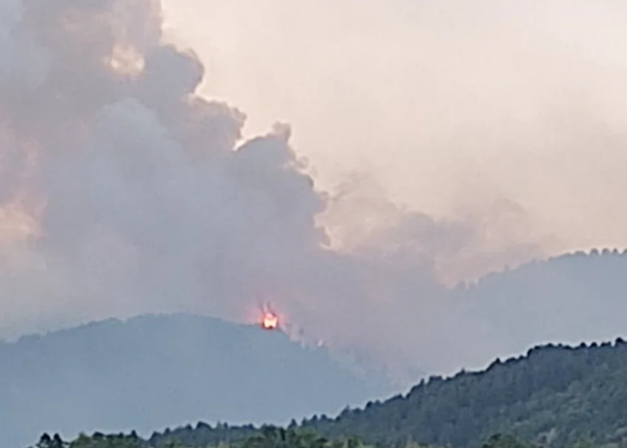 στιγμιοτυπο_οθονης_2025-08-13_230334