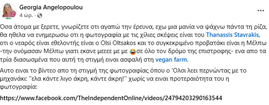 Η ιστορία πίσω από τη φωτογραφία με το πρόβατο στο μηχανάκι - «Βαφτίστηκε» Μέλπω και πήγε σε φάρμα vegan