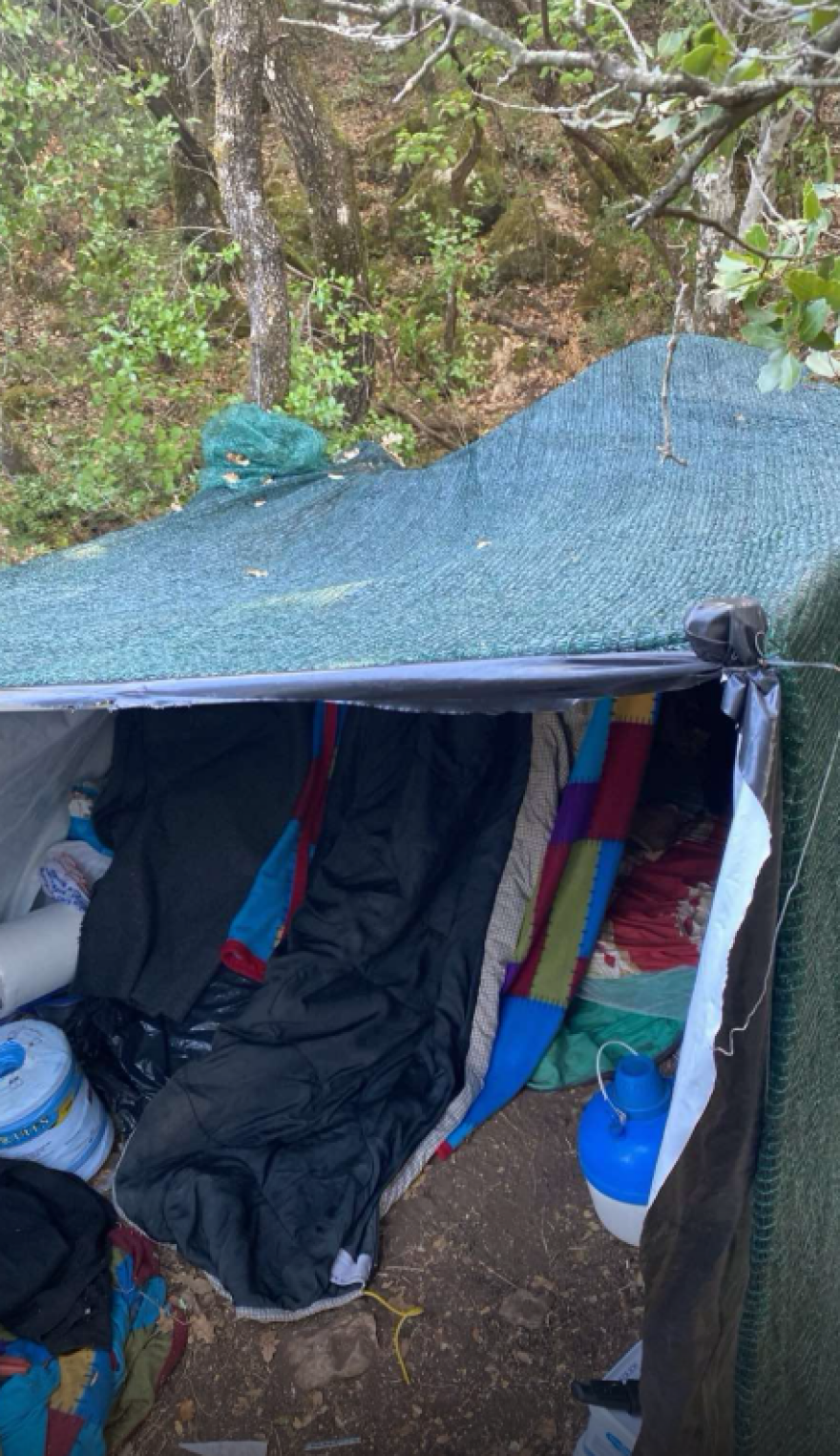 Φυτεία κάνναβης με 576 δενδρύλλια στη Φθιώτιδα - Κέρδη έως και 864.000 ευρώ για τους καλλιεργητές, δείτε φωτογραφίες