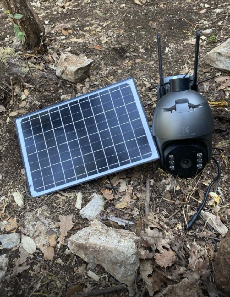 Φυτεία κάνναβης με 576 δενδρύλλια στη Φθιώτιδα - Κέρδη έως και 864.000 ευρώ για τους καλλιεργητές, δείτε φωτογραφίες