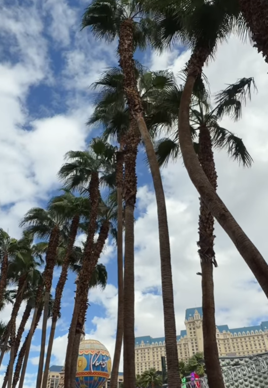 Ιωάννα Τούνη: Οι νέες φωτογραφίες από το ταξίδι της στο Λας Βέγκας