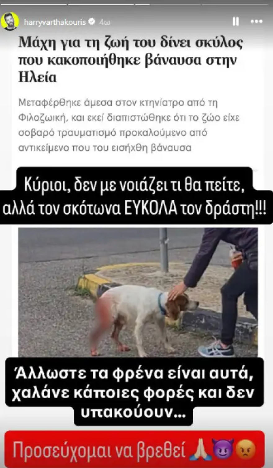 Χάρης Βαρθακούρης για τον βασανισμό και τη σεξουαλική κακοποίηση σκύλου στην Ηλεία: Θα σκότωνα εύκολα τον δράστη Χάρης Βαρθακούρης για τον βασανισμό και τη σεξουαλική κακοποίηση σκύλου στην Ηλεία: Θα σκότωνα εύκολα τον δράστη