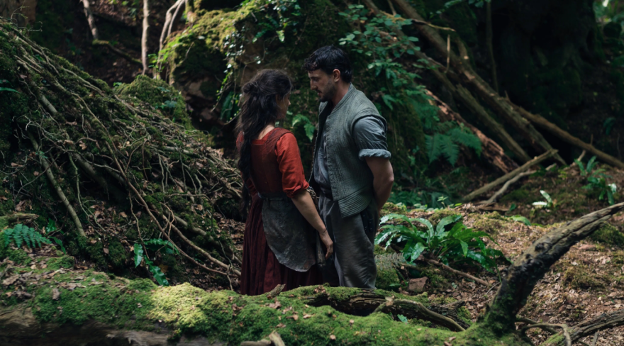 Από τον Τιμοτέ Σαλαμέ στον «Φρανκενστάιν» του Γκιγιέρμο ντελ Τόρο - 10 από τα μεγάλα φαβορί στην κούρσα των Όσκαρ 2026