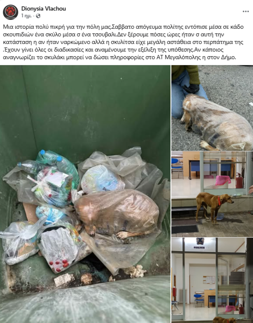 Κτηνωδία στη Μεγαλόπολη: Σκύλος βρέθηκε ζωντανός μέσα σε τσουβάλι σε κάδο απορριμμάτων
