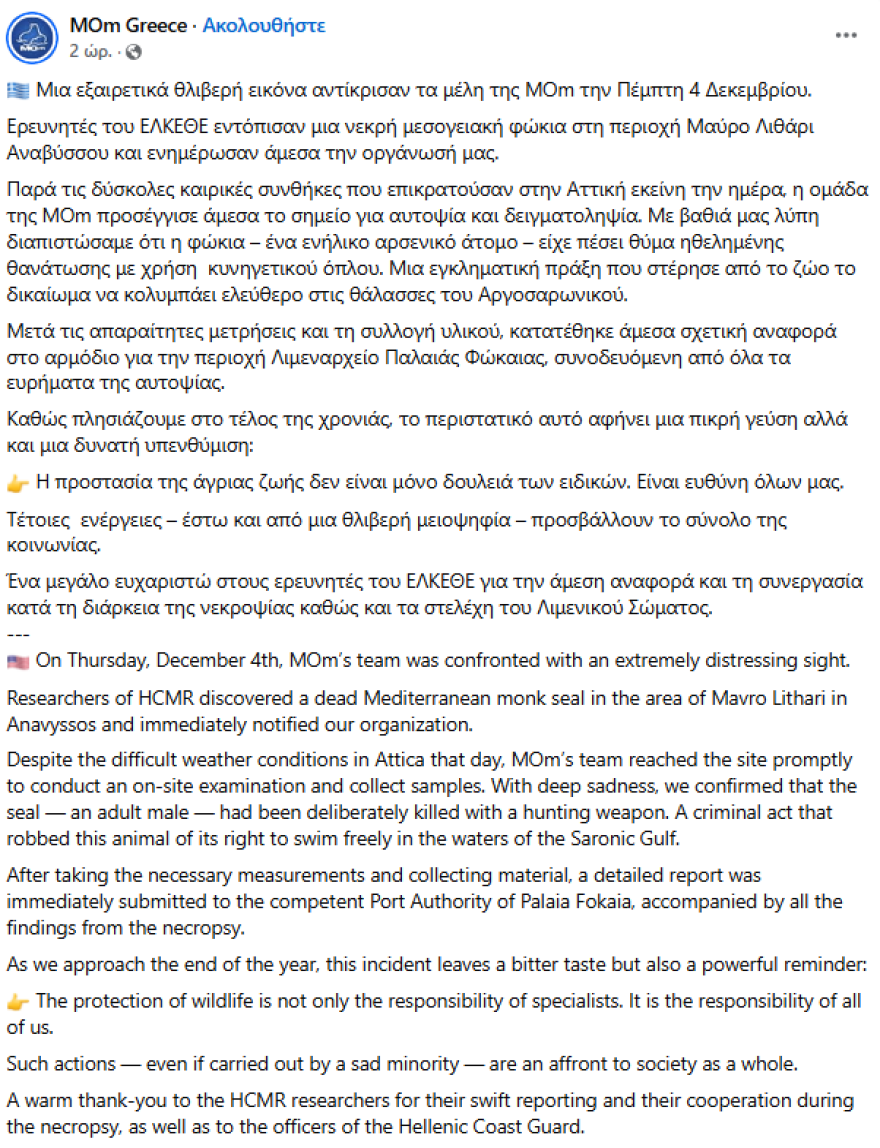 Κτηνωδία στο Μαύρο Λιθάρι, βρέθηκε νεκρή φώκια από πυροβολισμούς