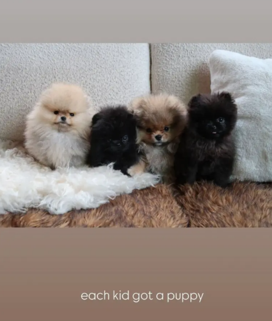 Θυμωμένοι οι φιλόζωοι με την Κιμ Καρντάσιαν για τα Πομεράνιαν που έκανε δώρο στα παιδιά της:  Τα κουτάβια δεν είναι λούτρινα παιχνίδια