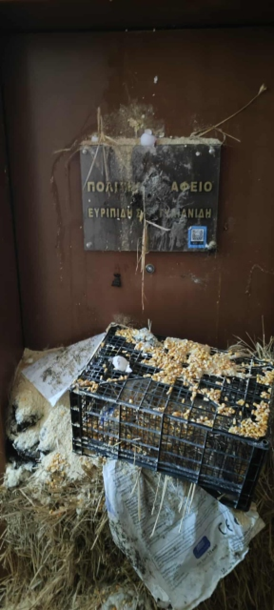 Βαμβάκι και άχυρα στο γραφείο του Στυλιανίδη στην Κομοτηνή πέταξαν αγρότες: «Δεν κρύβομαι» απαντά ο βουλευτής