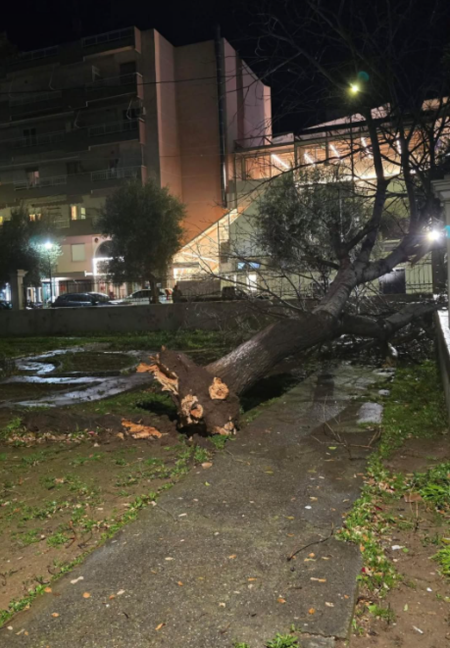 Μεγάλες ζημιές στην Αλεξανδρούπολη: Άνεμοι με ριπές 140 χιλιομέτρων χτύπησαν την πόλη, δείτε βίντεο