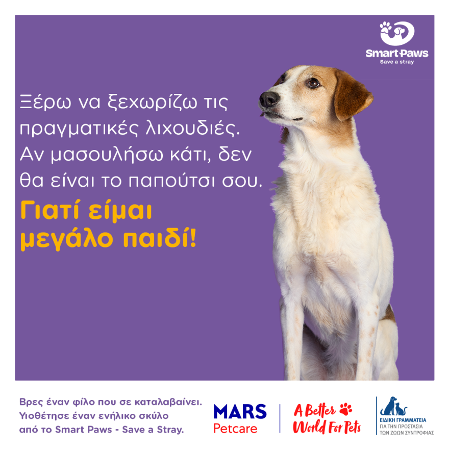 Τα «αόρατα» σκυλιά των καταφυγίων ζητούν μια δεύτερη ευκαιρία, η σημασία της υιοθεσίας