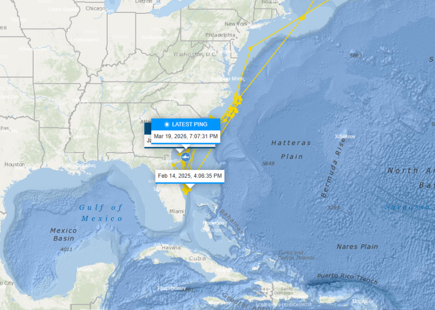 Ο μεγαλύτερος λευκός καρχαρίας που έχει καταγραφεί πλησιάζει τουριστική ακτή στη Φλόριντα