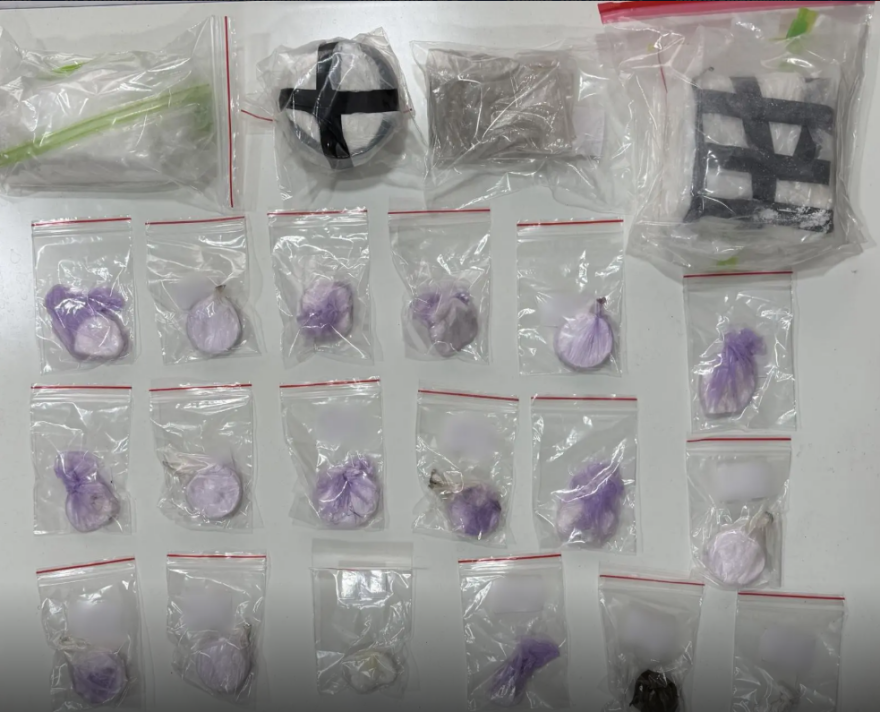 Δύο συλλήψεις στη Λαμία για ναρκωτικά και όπλα: Κατασχέθηκαν κοκαΐνη, όπλα και 6.250 ευρώ, δείτε φωτογραφίες