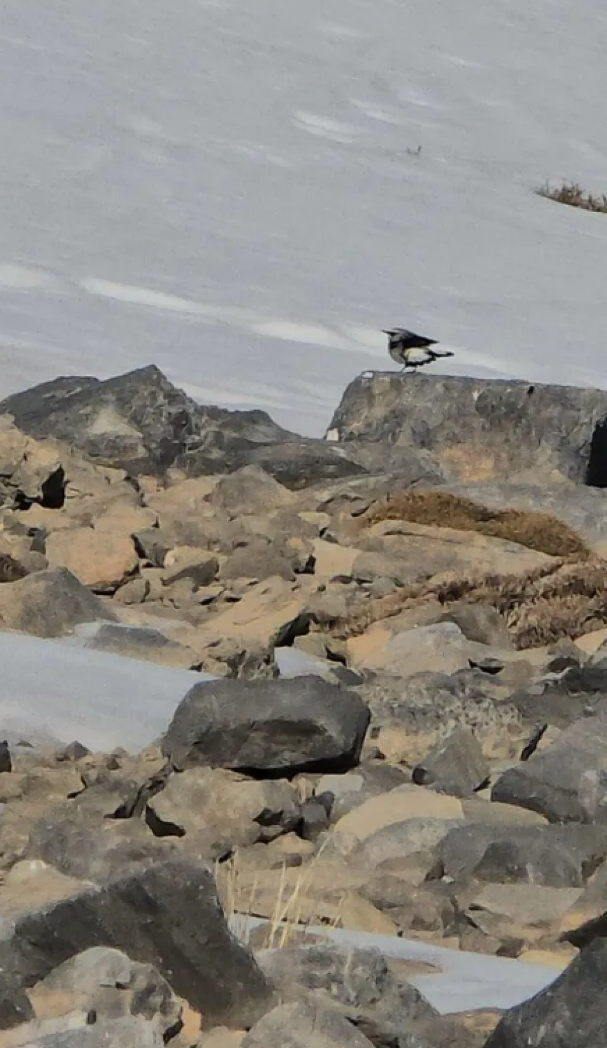 Τσούγκρισαν αυγά στην υψηλότερη κορυφή της Κρήτης, δείτε φωτογραφίες