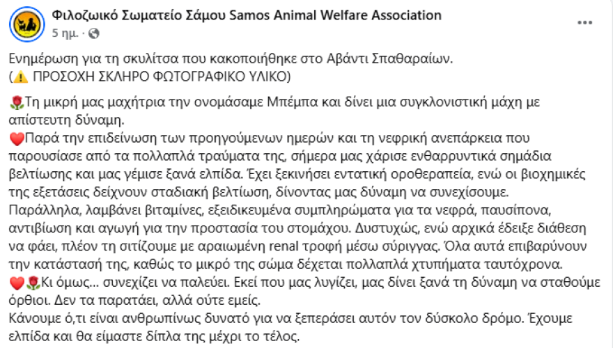 Κτηνωδία στη Σάμο: Έσπασαν το κρανίο, τη γνάθο και τη λεκάνη ηλικιωμένου σκύλου - Ζητούν πληροφορίες για τον δράστη