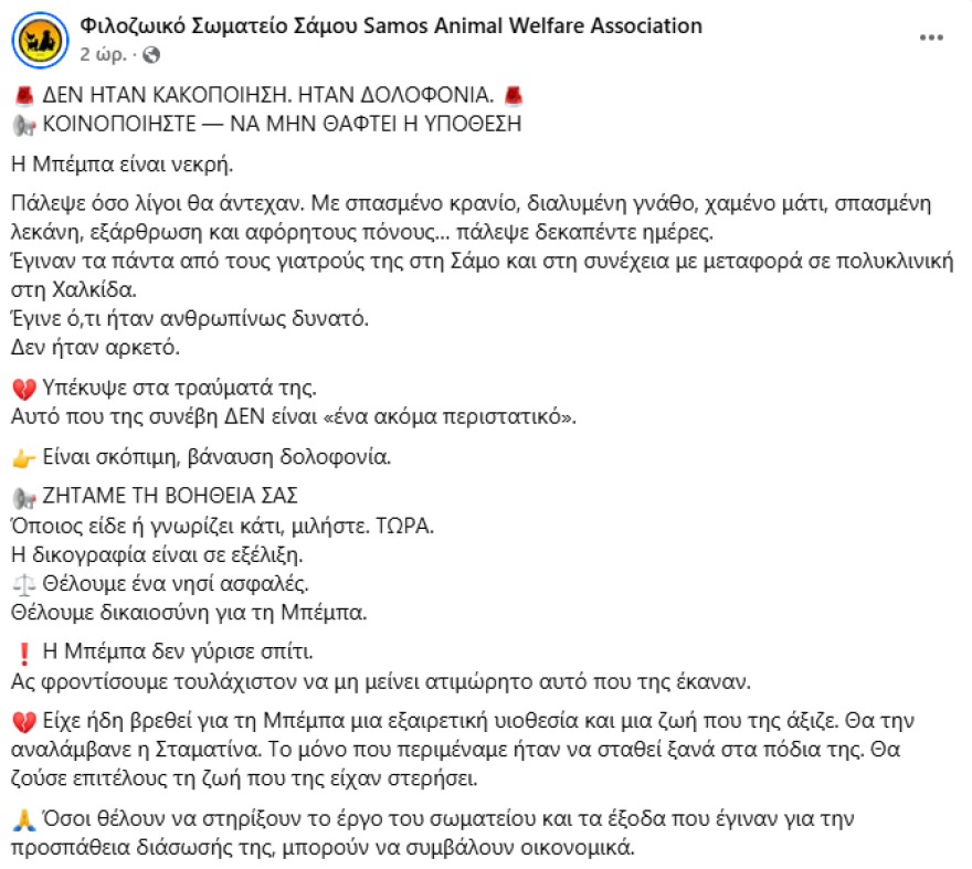 Κτηνωδία στη Σάμο: Έσπασαν το κρανίο, τη γνάθο και τη λεκάνη ηλικιωμένου σκύλου - Ζητούν πληροφορίες για τον δράστη