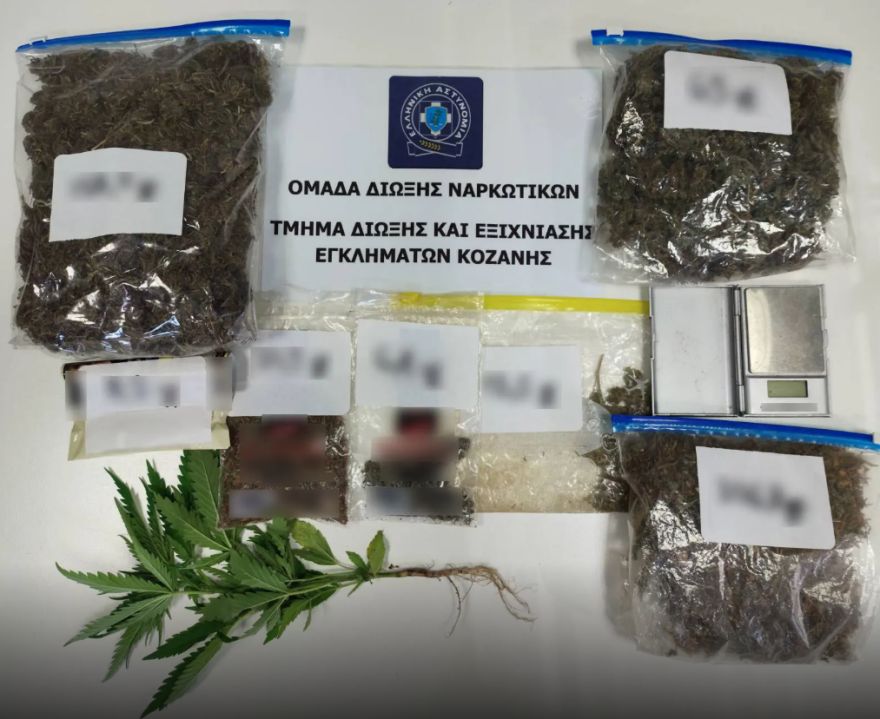 Συνελήφθη 51χρονος στην Κοζάνη για καλλιέργεια κάνναβης και διακίνηση ναρκωτικών