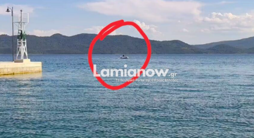 Βίντεο: Στα ανοιχτά της Γλύφας κατέληξε σκύλος, τον έσωσαν με σκάφος