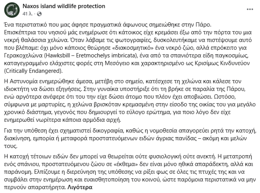 Νεκρή χελώνα από τα σπανιότερα είδη του κόσμου βρέθηκε κρεμασμένη ως «διακοσμητικό» έξω από σπίτι στην Πάρο, σχηματίστηκε δικογραφία