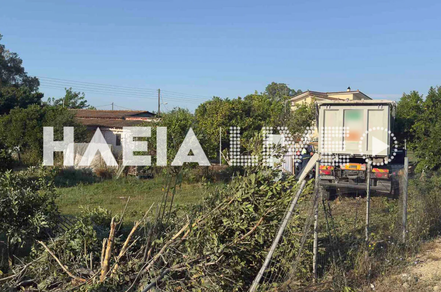 Οδηγός έχασε τον έλεγχο του φορτηγού επειδή τον τσίμπησε έντομο και έπεσε πάνω σε αποθήκες στα Λεχαινά