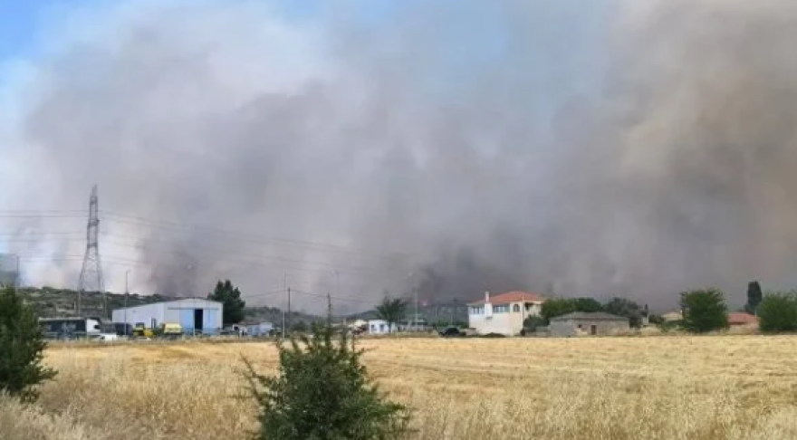 fotia-fthiotida__2_