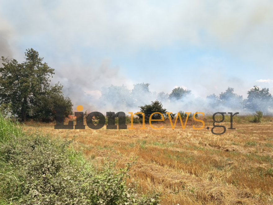Φωτιά τώρα στην Οινούσσα Σερρών, 112 για εκκένωση του οικισμού