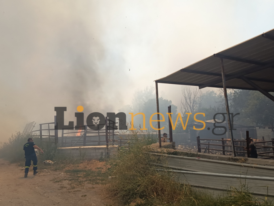 Φωτιά τώρα στην Οινούσσα Σερρών, 112 για εκκένωση του οικισμού