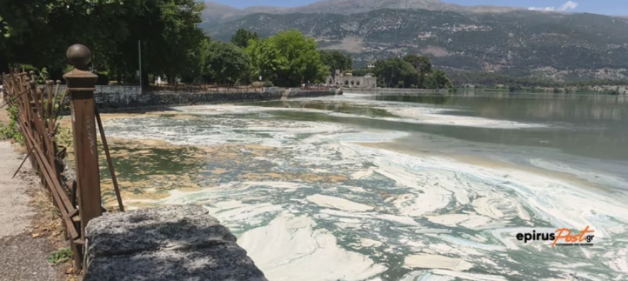 Έντονη δυσοσμία στην Παμβώτιδα, αφρός και κυανοβακτήρια στη λίμνη: Δείτε βίντεο και φωτογραφίες
