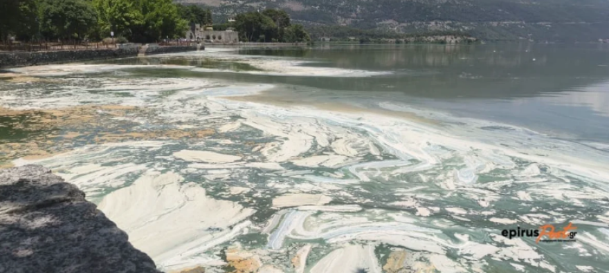 Έντονη δυσοσμία στην Παμβώτιδα, αφρός και κυανοβακτήρια στη λίμνη: Δείτε βίντεο και φωτογραφίες