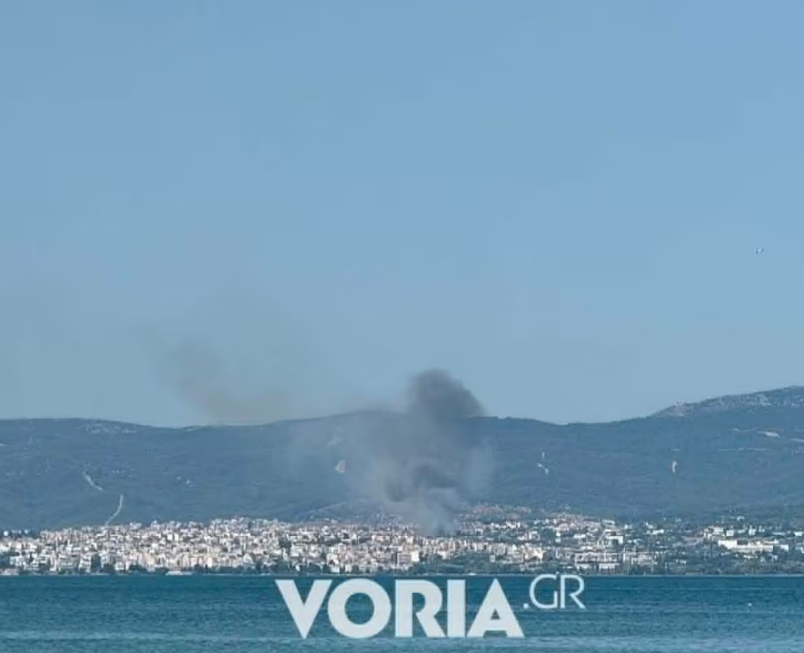 Φωτιά στην Πυλαία, 112 για εκκένωση της περιοχής "Μουσικό Σχολείο" 2 Φωτιά τώρα στην Πυλαία Θεσσαλονίκης, ήχησε το 112 για εκκένωση της περιοχής Μουσικό Σχολείο