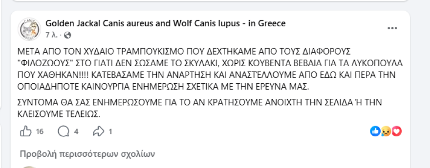 «Χυδαίο τραμπουκισμό από τους διάφορους "φιλόζωους"» καταγγέλλει ο ερευνητής του ΑΠΘ μετά τον θάνατο του κουταβιού που ζούσε με αγέλη λύκων