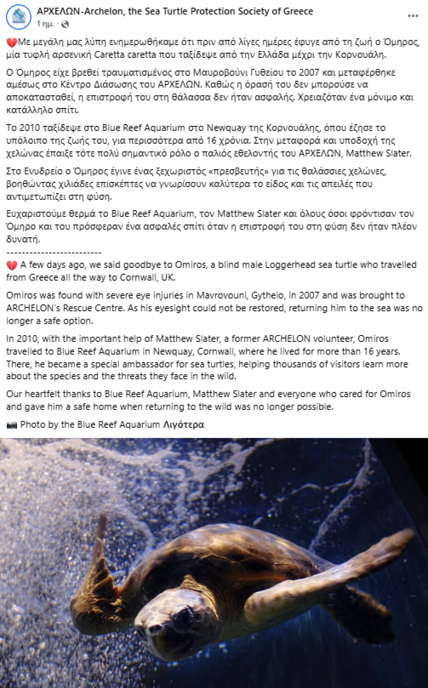 Πέθανε ο Όμηρος, η τυφλή καρέτα καρέτα που είχε διασωθεί στο Γύθειο και είχε φτάσει μέχρι την Κορνουάλη