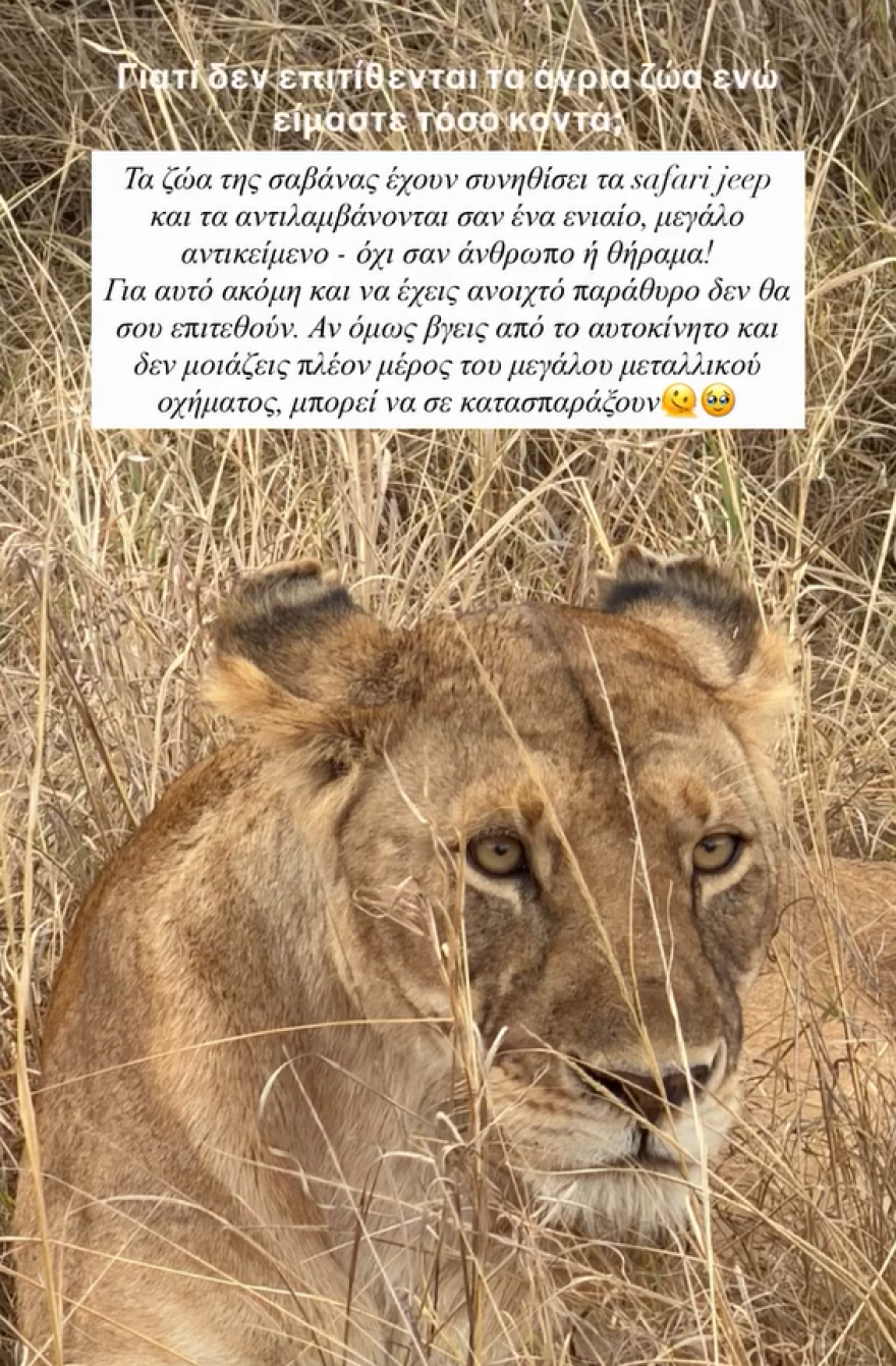 Ιωάννα Τούνη: Η βόλτα με το ανοιχτό παράθυρο στην Κένυα, η θεία της που ανησύχησε και οι επικίνδυνοι ιπποπόταμοι
