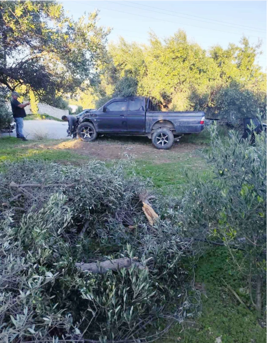 Αγροτικό στην Ιεράπετρα για να αποφύγει σκύλο ξερίζωσε τρεις ελιές και κατέληξε σε μαντρότοιχο - Σώος ο νεαρός οδηγός